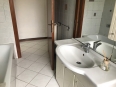IMG 0095