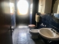 IMG 0425