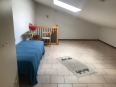 IMG 0454
