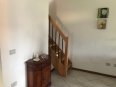 IMG 0461