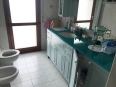 IMG 0703