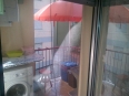 img-20150827-00706.jpg (854)