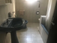 IMG 0297