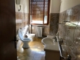 IMG 0576